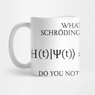 the Schrödinger Equation Mug